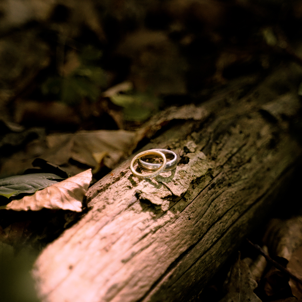 Detail: Ringe im Wald – Hochzeitsvideo Neubrandenburg